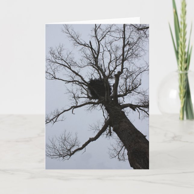 Black Brook Nest Karte (Vorderseite)