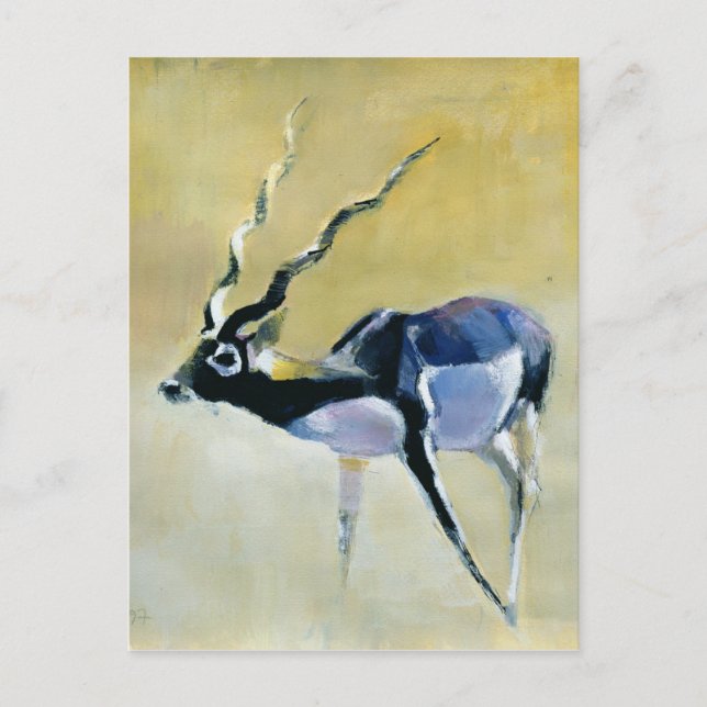Black Buck Velavadar 1997 Postkarte (Vorderseite)