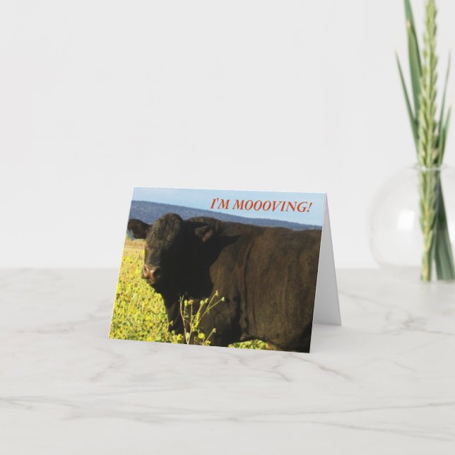 Black Bull in Blume - Änderung der Adresse des Wes Ankündigung (Vorderseite)