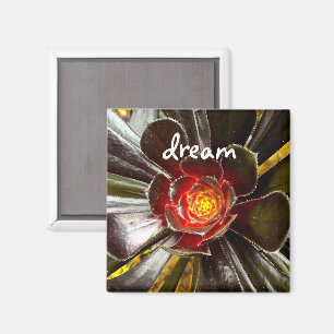 Black Cactus Foto Dream Quote Script Modern Bold Magnet