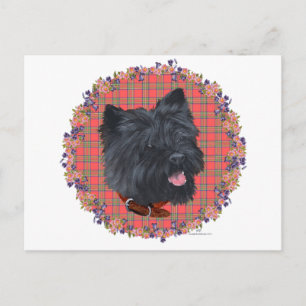 Black Cairn Head Studie Postkarte