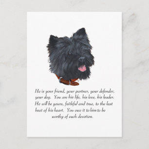 Black Cairn Terrier Andenken - Männlich Postkarte