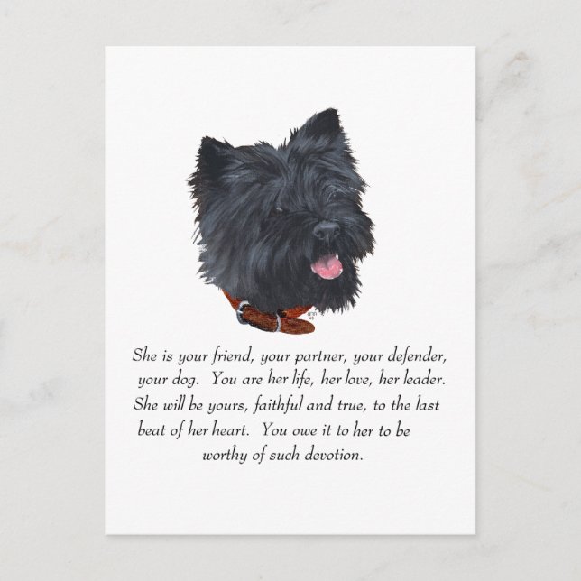 Black Cairn Terrier Keepake - Weiblich Postkarte (Vorderseite)