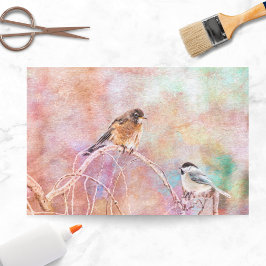Black Cap Chickadee And Robin Hanging Out Seidenpapier
