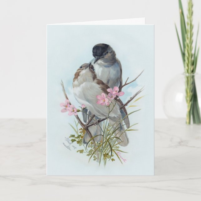 Black Cap Warblers Karte (Vorderseite)