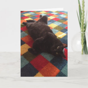 Black Cat auf Rug Birthday Card Karte