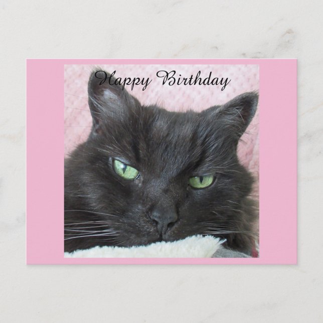 Black Cat Birthday Postcard Postkarte (Vorderseite)