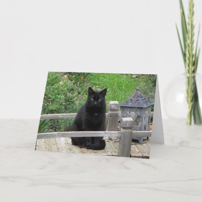 Black Cat Bridge Happiest Birthday Card Karte (Vorderseite)