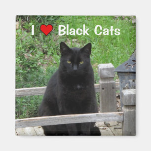 Black Cat Bridge I Liebe Black Cats Magnet