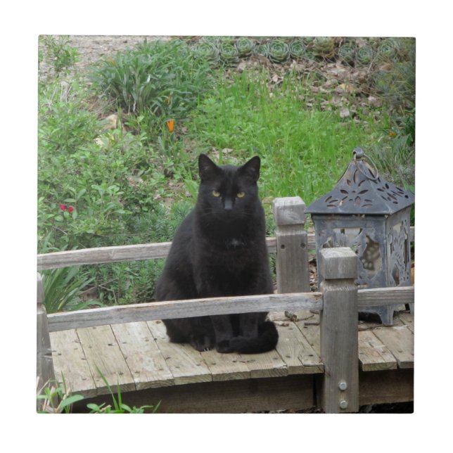 Black Cat Bridge Keramik Tile Fliese (Vorderseite)
