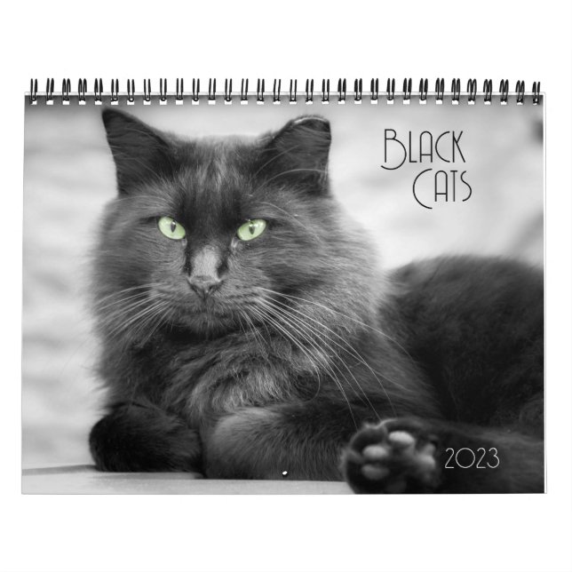 Black Cat Calendar Kalender (Titelbild)