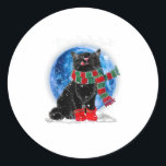 Black Cat Christmas Light Moon Blue Hol Runder Aufkleber<br><div class="desc">Black Cat Christmas Light Moon Blue Hol</div>