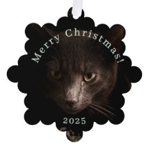 Black Cat Christmas Tag und