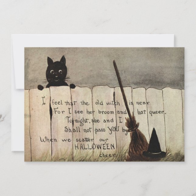 Black Cat Fence Witch's Broom Hat (Vorderseite)