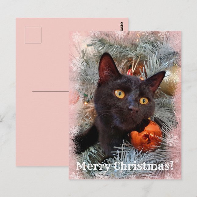 Black Cat Frohe Weihnachten Postkarte (Vorne/Hinten)