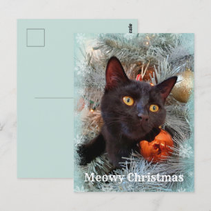 Black Cat Frohe Weihnachten Postkarte