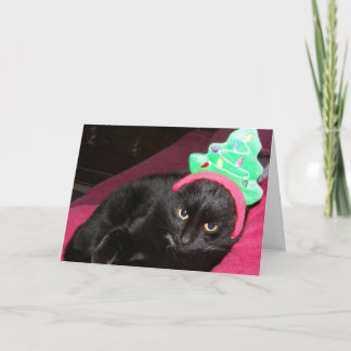 Black Cat Funny Holiday Card Feiertagskarte