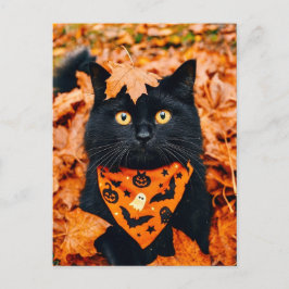 Black Cat Happy Halloween Postcard Postkarte