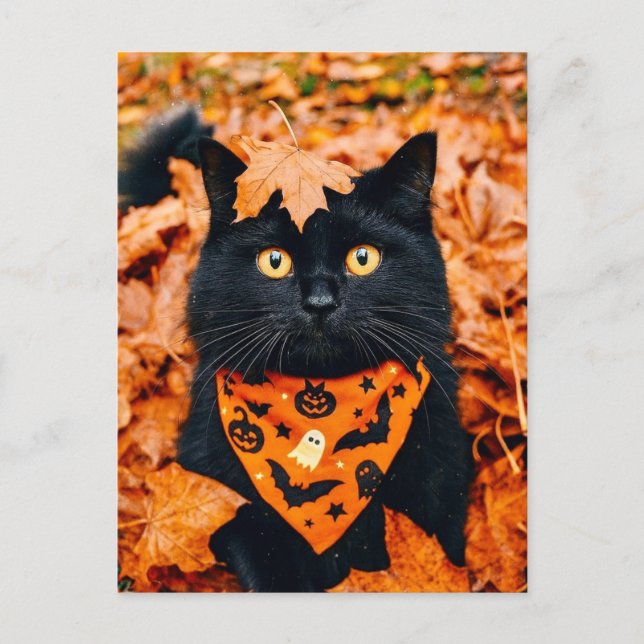 Black Cat Happy Halloween Postcard Postkarte (Vorderseite)