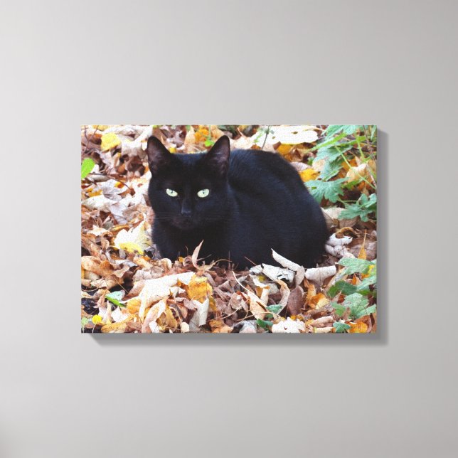 Black Cat Herbst Foto Single Leinwanddruck (Vorderseite)