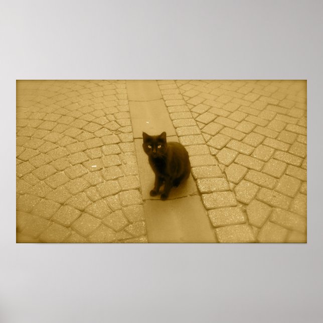 Black Cat In Sepia Poster (Vorne)