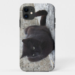 Black Cat iPhone 5 Ehegatte title_seo2