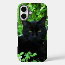 Black Cat iPhone / iPad Gehäuse