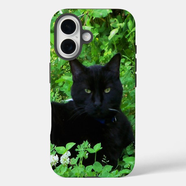 Black Cat iPhone / iPad Gehäuse iPhone 16 Hülle (Rückseite)