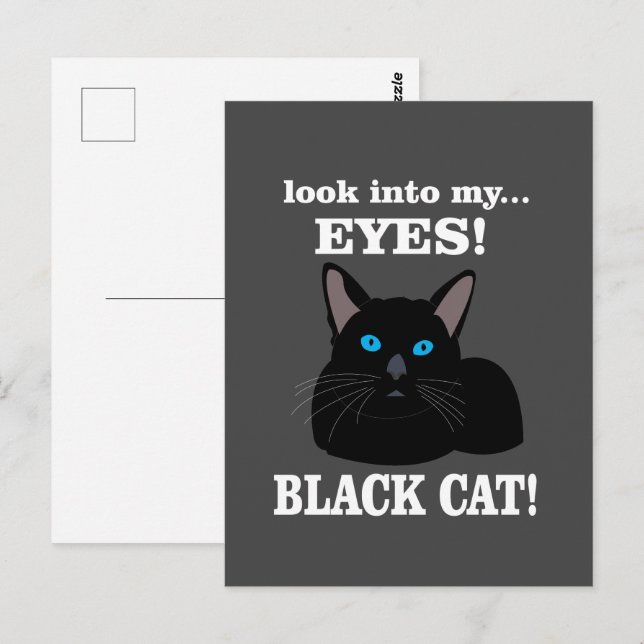 Black Cat Kitty Animal Lover Black Cat Postkarte (Vorne/Hinten)