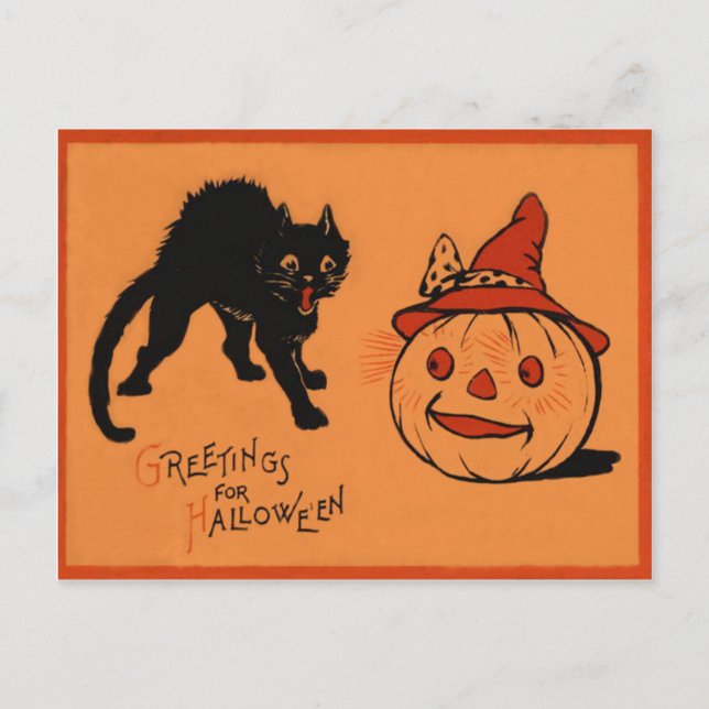 Black Cat Kürbislaterne Pumpkin Hexe's Hat Postkarte (Vorderseite)