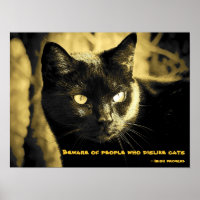 Black Cat Meme mit irischem Sprichwort