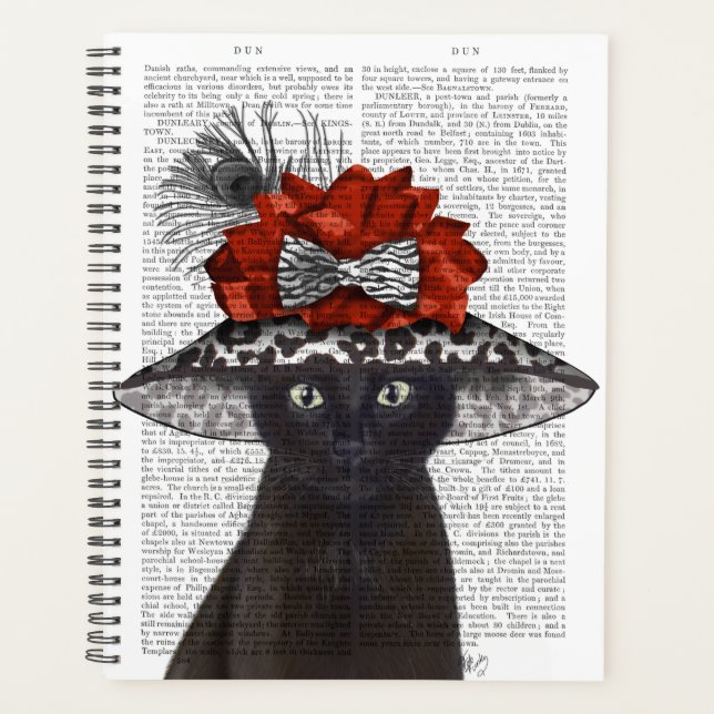 Black Cat mit Fabulous Hat Planer (Vorderseite)