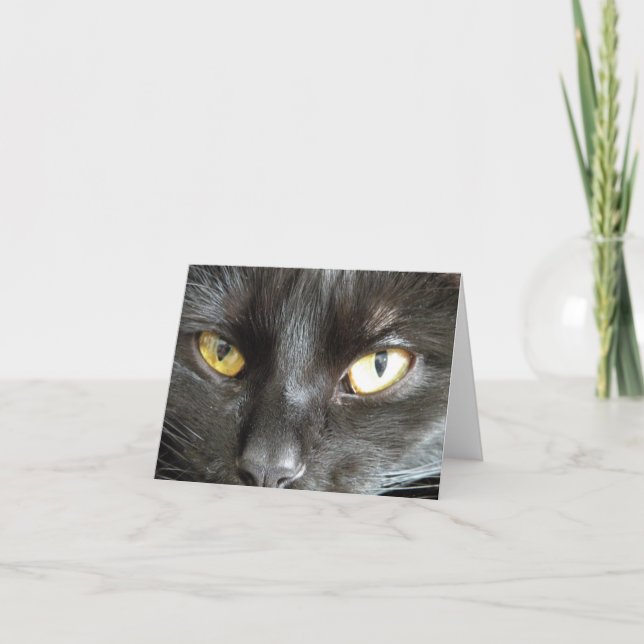 Black Cat Note Card Karte (Vorderseite)