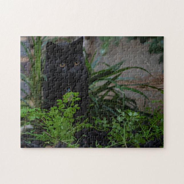 Black Cat Playing im Garten, 252 Stück (Horizontal)