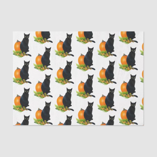 Black Cat Pumpkin Ferns Tissue Paper Seidenpapier (Vorderseite)