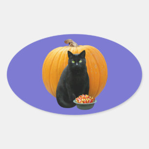 Black Cat Pumpkin Ovaler Aufkleber
