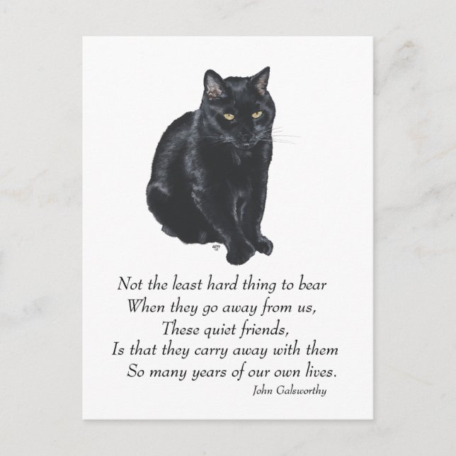 Black Cat Rainbow Bridge Postkarte (Vorderseite)