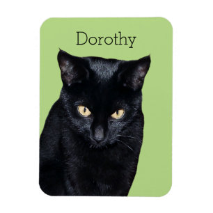 Black Cat Real Foto Küche Kühlschrankmagnet Magnet