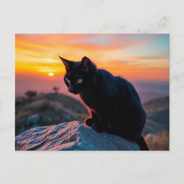 Black Cat Silhouette at Sunset Postcard Postkarte (Vorderseite)