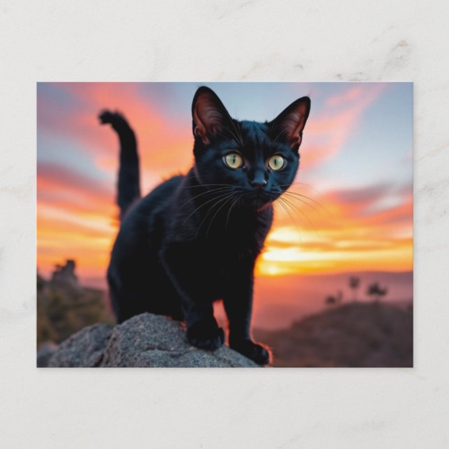 Black Cat Silhouette at Sunset Postcard Postkarte (Vorderseite)