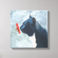 Black Cat Sniffing Blume