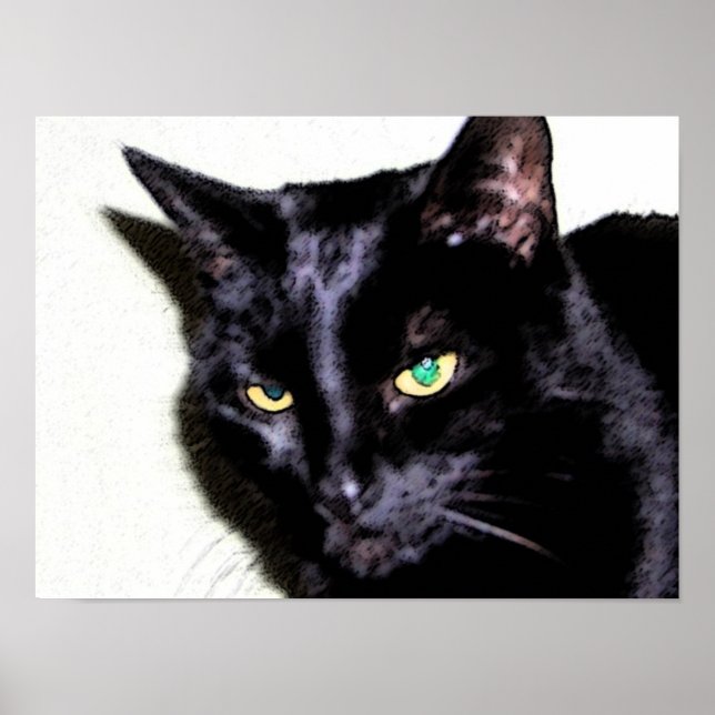 Black Cat Sumio Poster (Vorne)