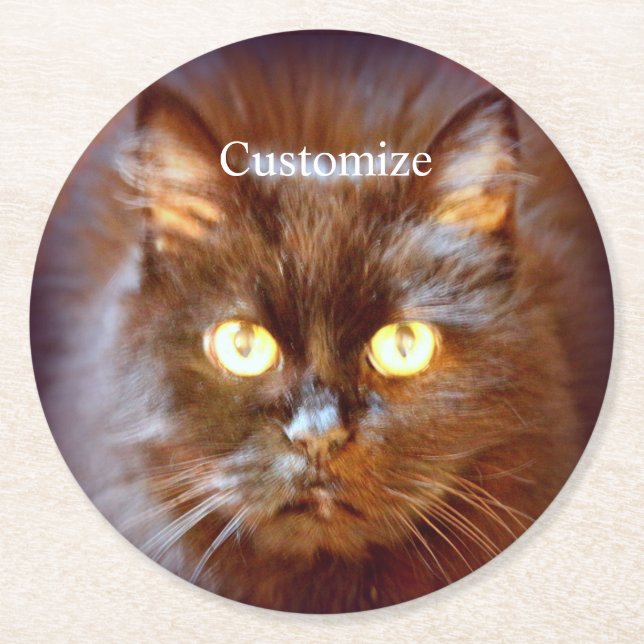 Black Cat Thunder_Cove Runder Pappuntersetzer (Vorderseite)