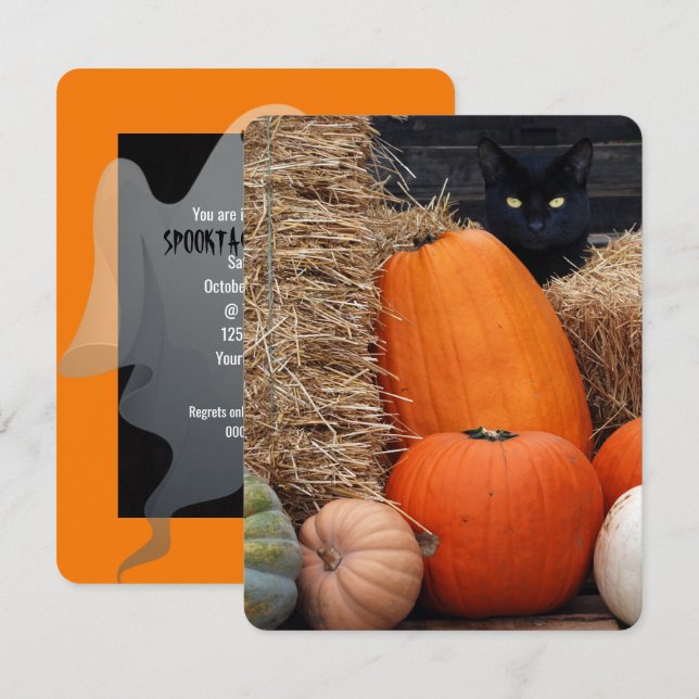 Black Cat und Pumpkins Halloween-Party Einladung (Vorne/Hinten)