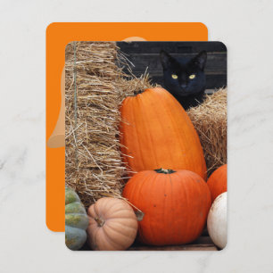 Black Cat und Pumpkins Halloween-Party Einladung