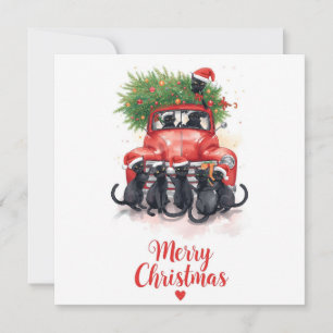 Black Cat Weihnachten für Katzen Liebhaber