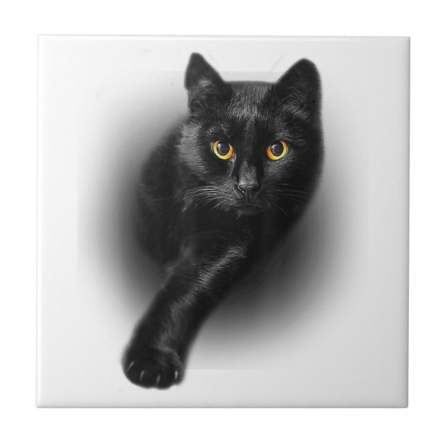 Black Cat Yellow Eyes T - Shirt Cats T-Shirt Fliese (Vorderseite)