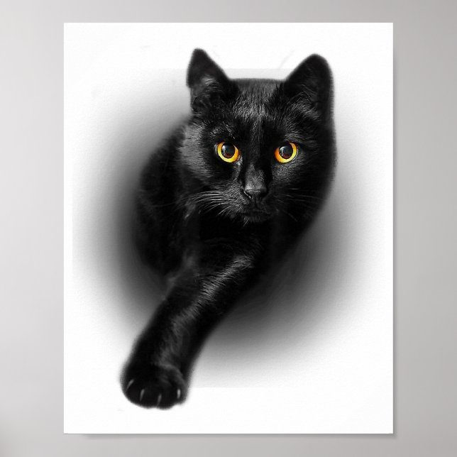 Black Cat Yellow Eyes T - Shirt Cats T-Shirt Poster (Vorne)