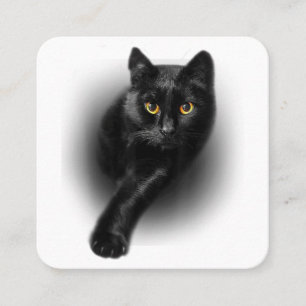 Black Cat Yellow Eyes T - Shirt Cats T-Shirt Quadratische Visitenkarte