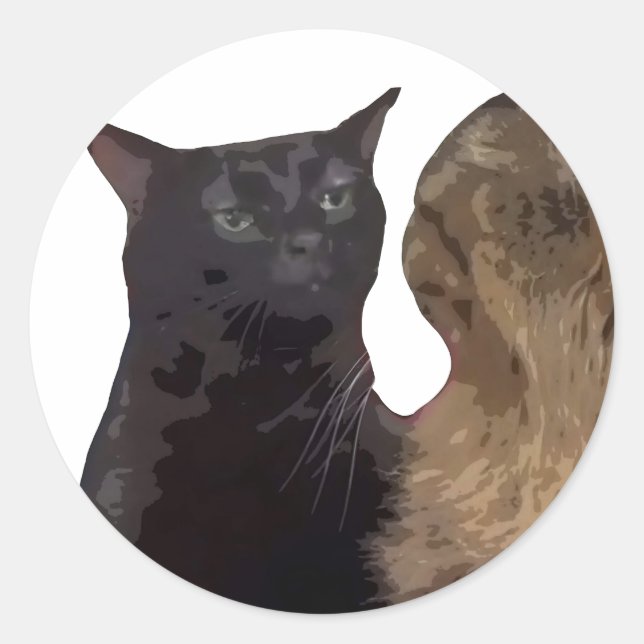 Black Cat Zoning Out Runder Aufkleber (Vorderseite)